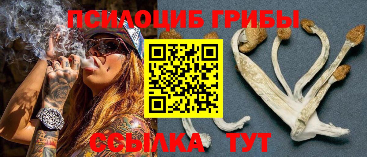 купить закладку  Вход с VPN  Кулебаки  Галлюциногенные грибы GOLDEN TEACHER 