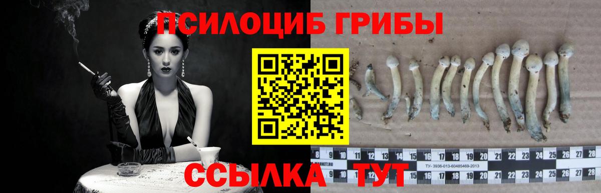 Псилоцибиновые грибы мицелий Кулебаки